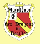 Relifting et protection du site dragonsdenoailles.fr